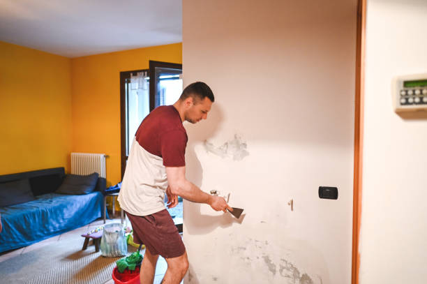 Best Kitchen Mold Remediation in San Antonio, FL
